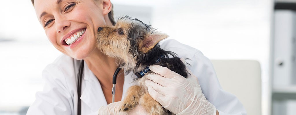 Etax Local BAS Services